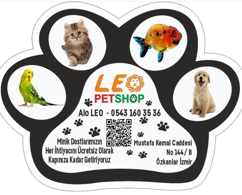 Petshop Magnet
